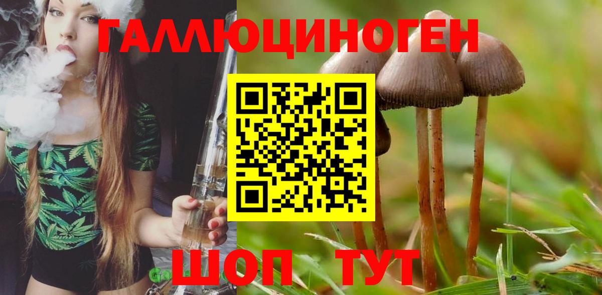 наркота  Псилоцибиновые грибы GOLDEN TEACHER  Вход с VPN  Великие Луки 